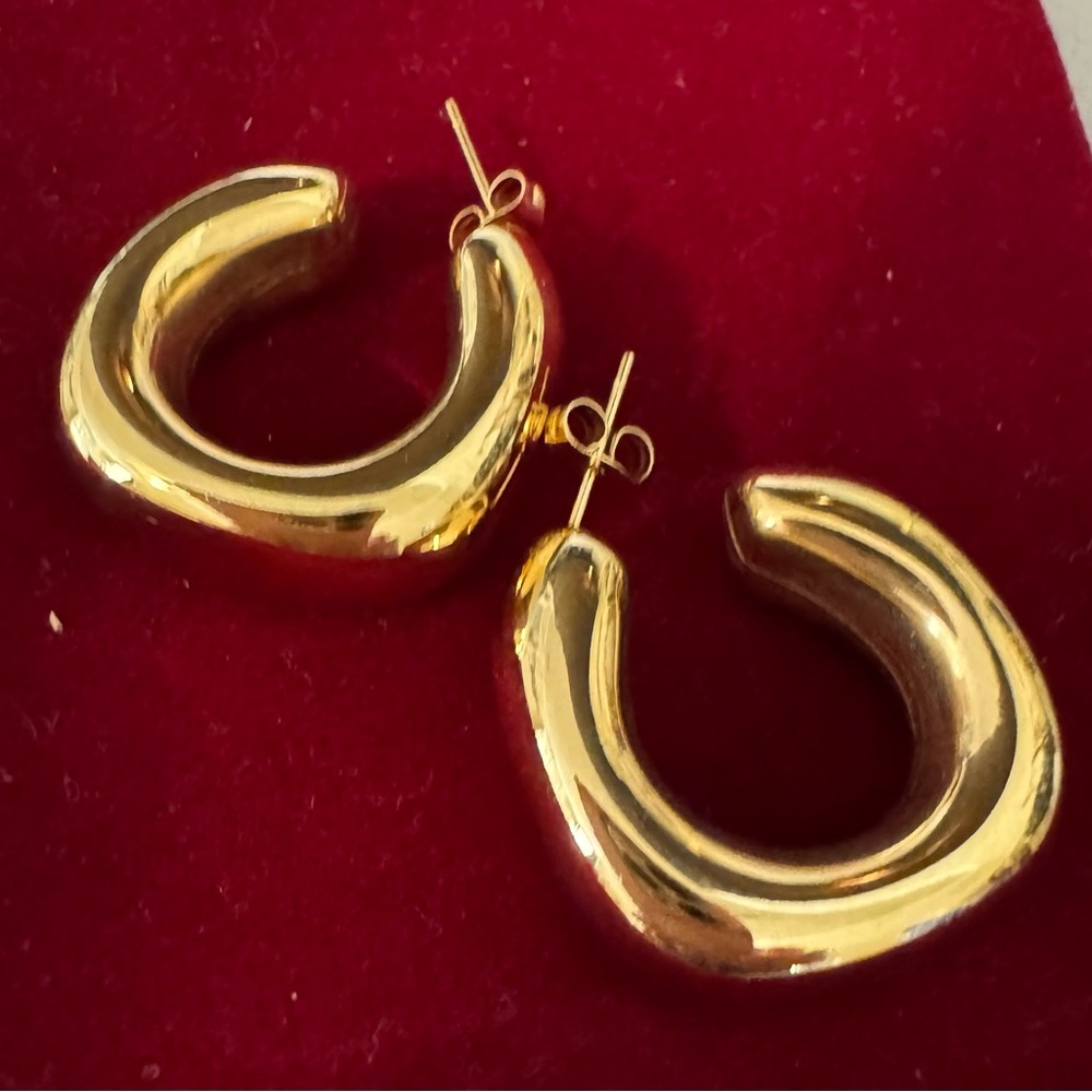 Chic Gold Hoop Earrings